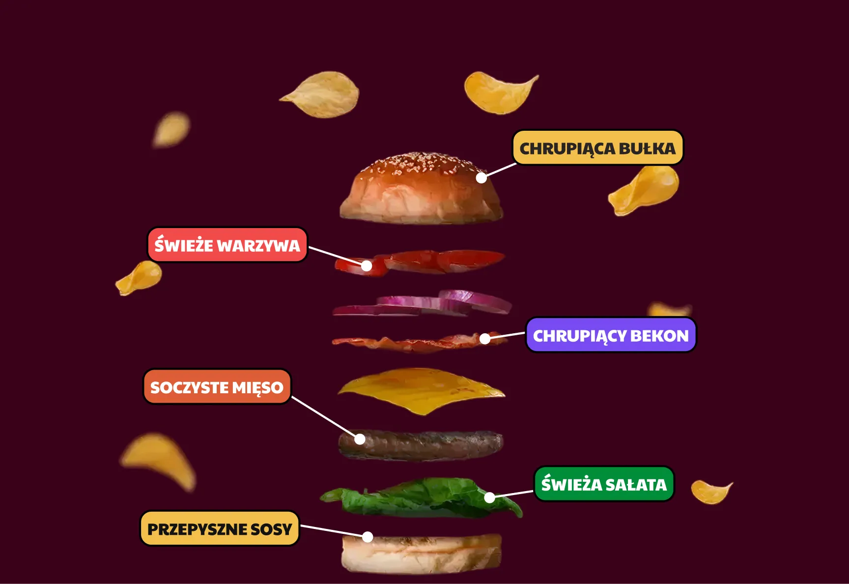 Burger - infografika.